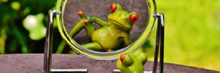 Maya wijsheid jaarenergie 2017