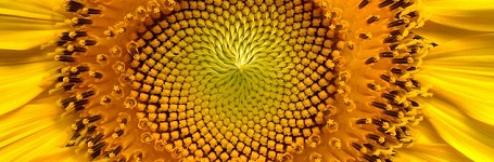 26 juli 2017: Start van een nieuw Maya zonnejaar