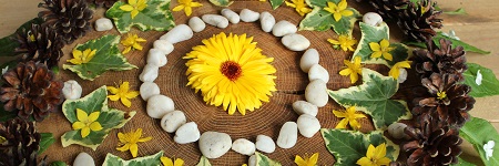 De toekomst als magneet